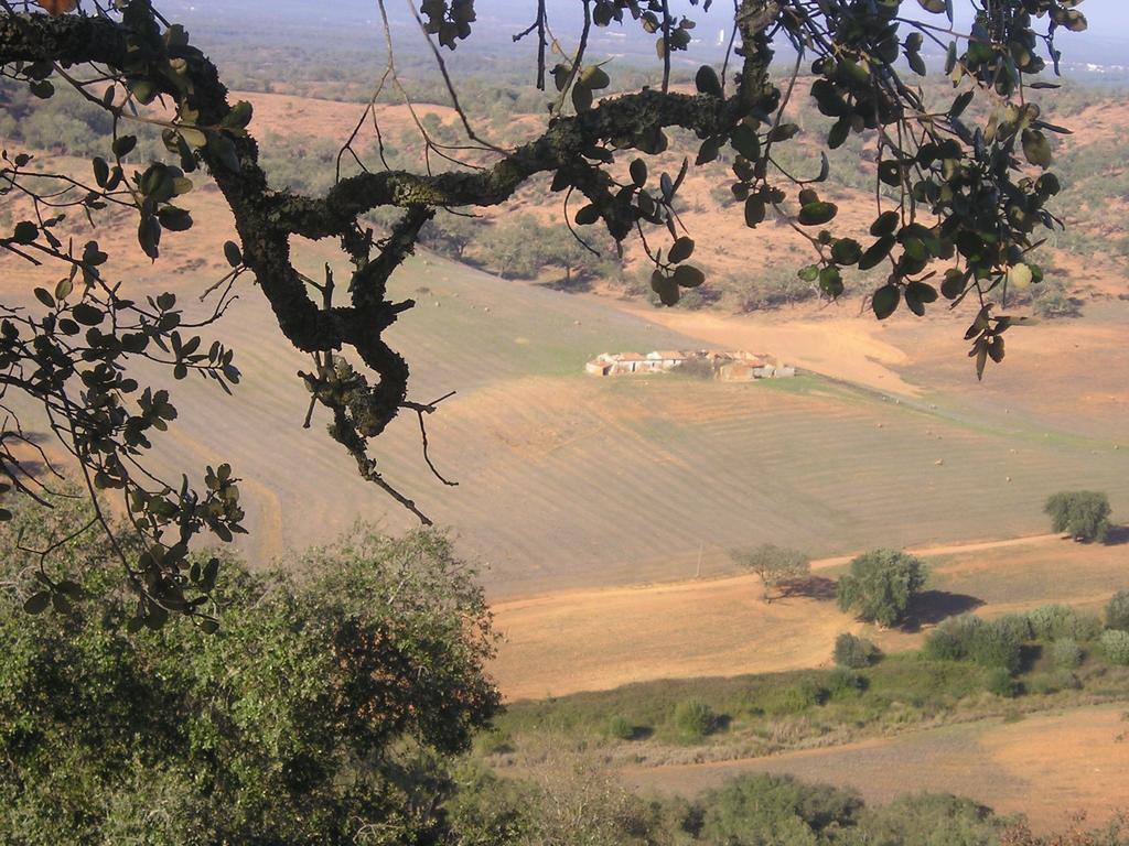 Apartamentos Bau-Doce Cercal do Alentejo 客房 照片