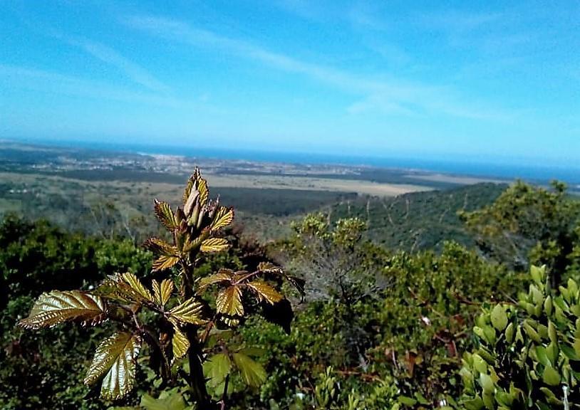 Apartamentos Bau-Doce Cercal do Alentejo 外观 照片